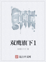 双鹰旗下进行曲的视频