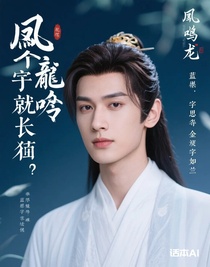 凤栖龙吟