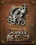 灵吸怪备忘录小说